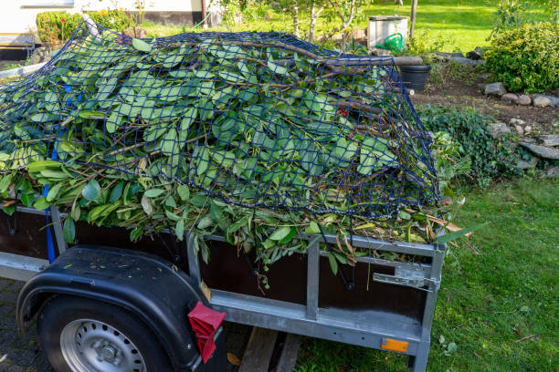 Best Residential Junk Removal  in Mulberry, IN